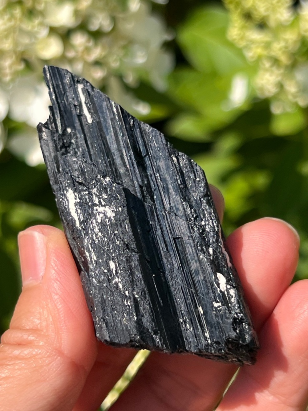 Black (2) tourmaline specimen | crystal